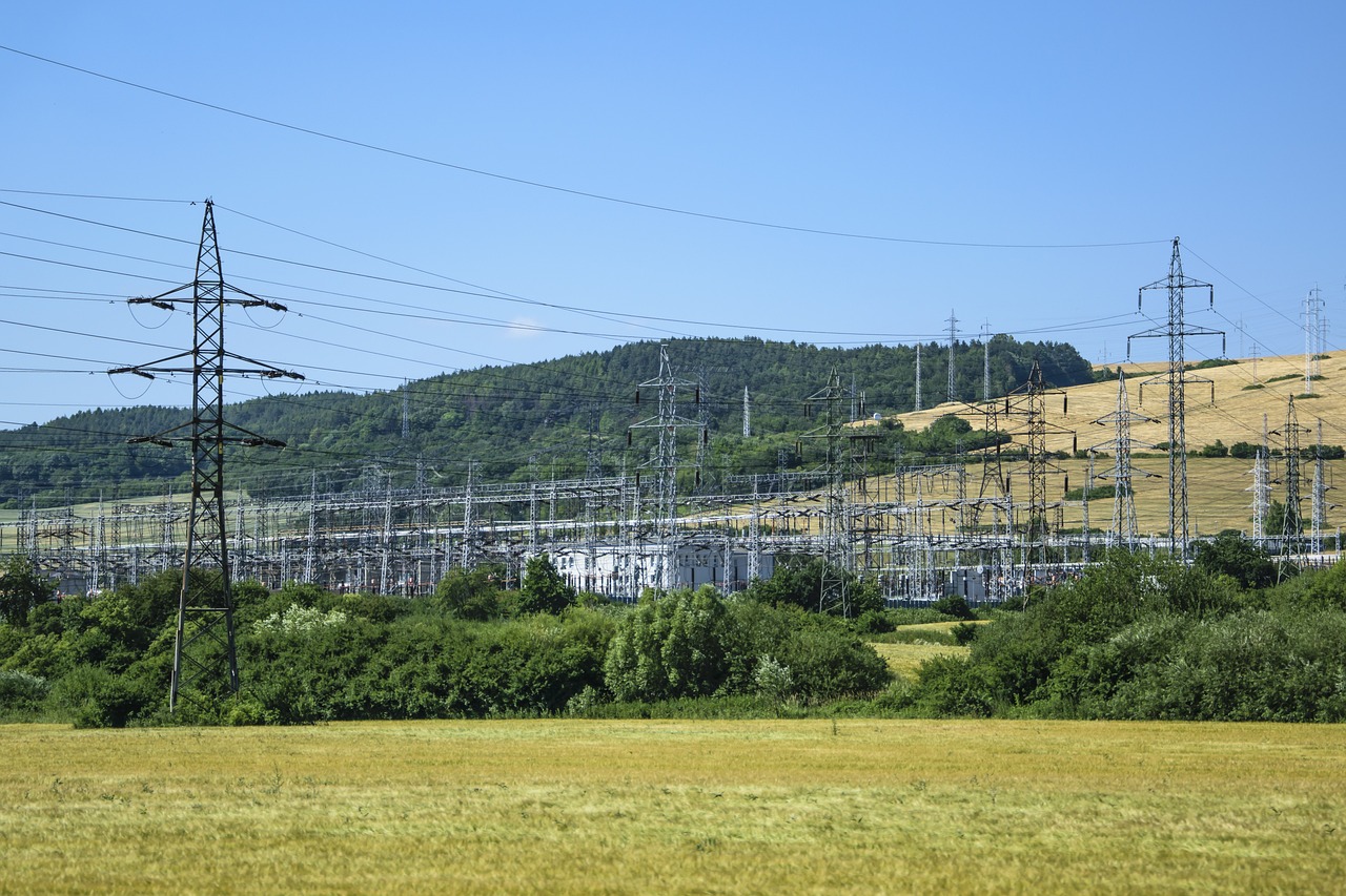 Exploring the Potential of Biomass Energy